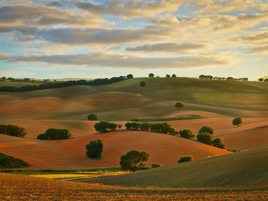 Paysage avec montagnes