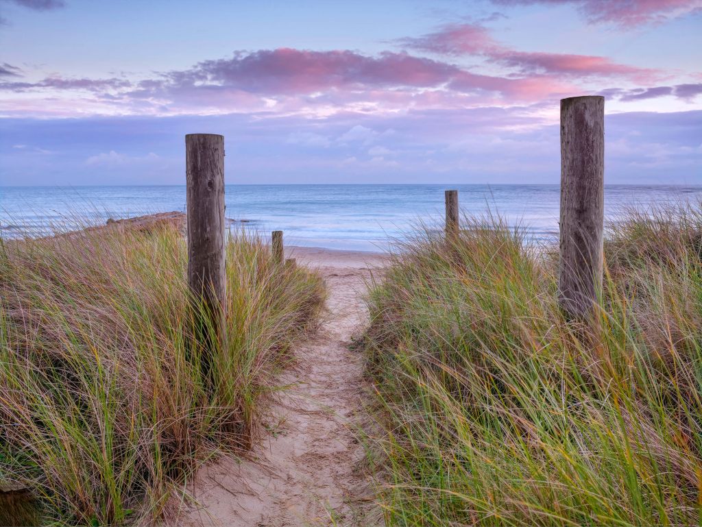 Chemin vers la mer