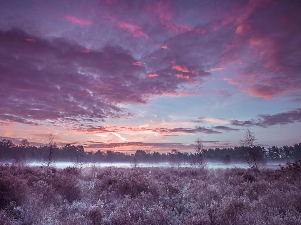 Prairie sous un ciel nuageux