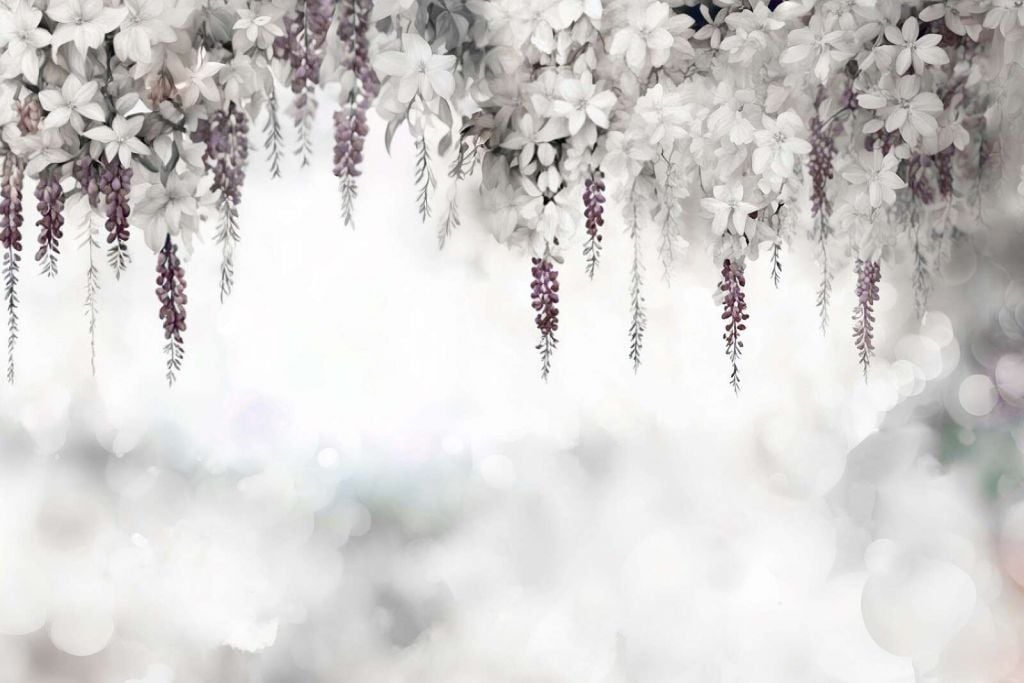 Jardin de Glycine Douce Blanc